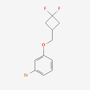 molecular formula C11H11BrF2O B1382713 1-Bromo-3-[(3,3-difluorocyclobutyl)methoxy]benzene CAS No. 1855584-82-5