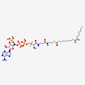 molecular formula C37H64N7O17P3S B13828211 Palmitoleoyl coenzyme A lithium salt 