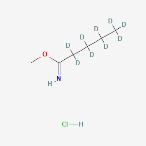 molecular formula C6H14ClNO B13828662 Methyl Valerimidate-d9 Hydrochloride 