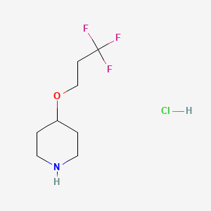 molecular formula C8H15ClF3NO B1382904 4-(3,3,3-Trifluoropropoxy)piperidine hydrochloride CAS No. 1795439-19-8