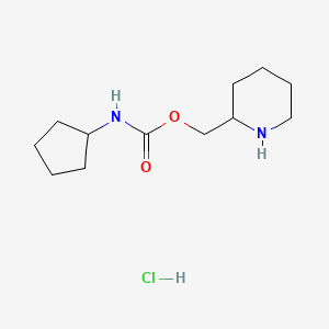 molecular formula C12H23ClN2O2 B1382921 piperidin-2-ylmethyl N-cyclopentylcarbamate hydrochloride CAS No. 1803571-17-6