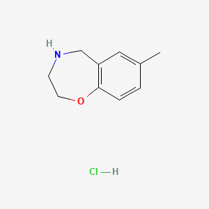 molecular formula C10H14ClNO B1382938 7-Methyl-2,3,4,5-tetrahydro-1,4-benzoxazepine hydrochloride CAS No. 1803612-10-3