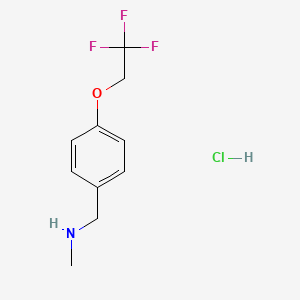 molecular formula C10H13ClF3NO B1382939 Methyl({[4-(2,2,2-trifluoroethoxy)phenyl]methyl})amine hydrochloride CAS No. 1803600-19-2