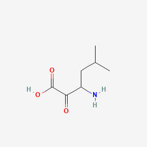 molecular formula C7H13NO3 B13829401 Hexanoic acid, 3-amino-5-methyl-2-oxo- 