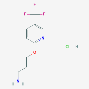 molecular formula C9H12ClF3N2O B1382994 3-[{[5-(三氟甲基)吡啶-2-基]氧}丙-1-胺盐酸盐 CAS No. 1795280-95-3