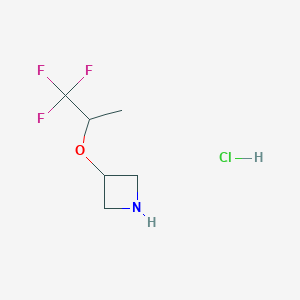 molecular formula C6H11ClF3NO B1383014 3-[(1,1,1-Trifluoropropan-2-yl)oxy]azetidine hydrochloride CAS No. 1803585-68-3