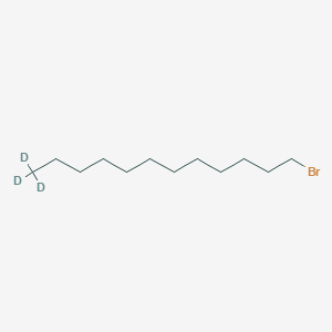 molecular formula C12H25B B1383035 1-Bromododecane-12,12,12-d3 CAS No. 204259-68-7