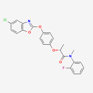 molecular formula C23H18ClFN2O4 B13831349 (2R)-2-[4-[(5-chloro-1,3-benzoxazol-2-yl)oxy]phenoxy]-N-(2-fluorophenyl)-N-methylpropanamide 