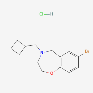 molecular formula C14H19BrClNO B1383201 7-溴-4-(环丁基甲基)-3,5-二氢-2H-1,4-苯并恶杂环辛 hydrochloride CAS No. 2034155-35-4