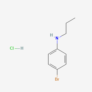 molecular formula C9H13BrClN B1383259 4-bromo-N-propylaniline hydrochloride CAS No. 2031261-27-3