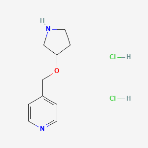 4-[(Pyrrolidin-3-yloxy)methyl]pyridine dihydrochloride