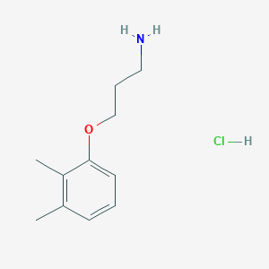 molecular formula C11H18ClNO B1383408 3-(2,3-Dimethylphenoxy)propan-1-amine hydrochloride CAS No. 1158603-34-9