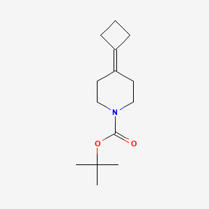 molecular formula C14H23NO2 B1383540 Tert-butyl 4-cyclobutylidenepiperidine-1-carboxylate CAS No. 1809353-54-5