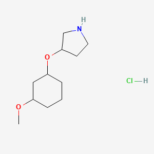 3-[(3-Methoxycyclohexyl)oxy]pyrrolidine hydrochloride