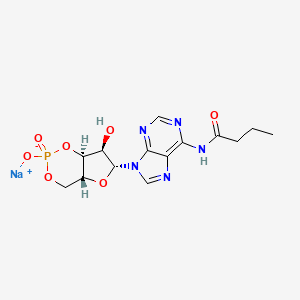 molecular formula C14H17N5NaO7P B13837643 6-MB-Campsodiumsalt 