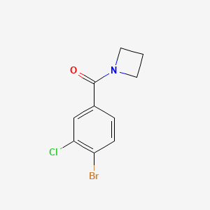 molecular formula C10H9BrClNO B1383925 1-(4-Bromo-3-chlorobenzoyl)azetidine CAS No. 1864535-80-7
