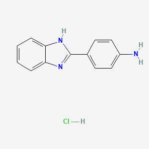 molecular formula C13H12ClN3 B1384010 4-(1h-Benzimidazol-2-yl)benzenamine hydrochloride CAS No. 60837-27-6