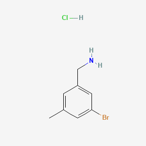 molecular formula C8H11BrClN B1384028 (3-Bromo-5-methylphenyl)methanamine hydrochloride CAS No. 1646570-05-9