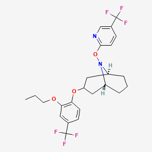 molecular formula C24H26F6N2O3 B1384038 Acynonapyr CAS No. 1332838-17-1