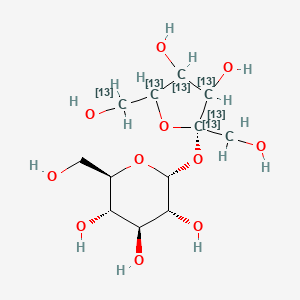 molecular formula C12H22O11 B13840710 Sucrose-13C6-fru 