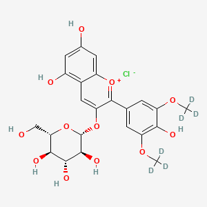 molecular formula C23H25ClO12 B13841654 Oenin-d6 Chloride 