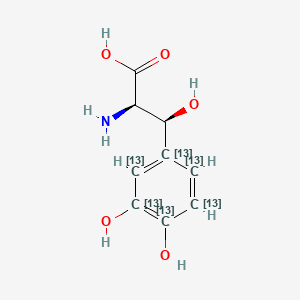molecular formula C9H11NO5 B13841703 (2R,3S)-2-amino-3-(3,4-dihydroxy(1,2,3,4,5,6-13C6)cyclohexa-1,3,5-trien-1-yl)-3-hydroxypropanoic acid 
