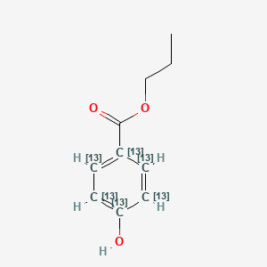 molecular formula C10H12O3 B13842188 Propyl Paraben-13C6 