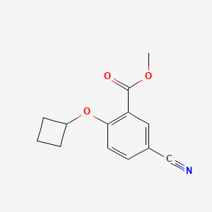 molecular formula C13H13NO3 B13842433 Methyl 5-cyano-2-cyclobutyloxybenzoate 