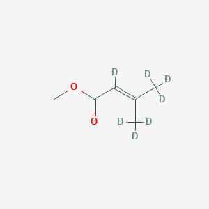 molecular formula C6H10O2 B13842443 Methyl 3-Methyl-2-butenoate-D7 