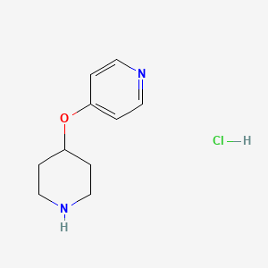 molecular formula C10H15ClN2O B13842470 4-(Piperidin-4-yloxy)pyridine hydrochloride 