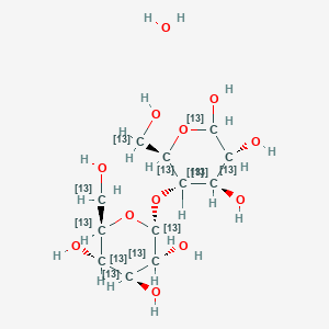 molecular formula C12H24O12 B13843350 D-(+)-Maltose Monohydrate-13C12 