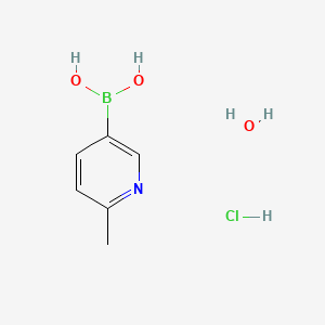 molecular formula C6H11BClNO3 B13843783 6-Methylpyridine-3-boronic Acid Hydrochloride Hydrate 