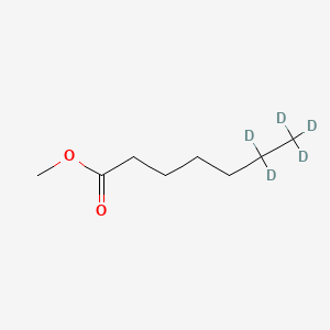 molecular formula C8H16O2 B13845006 Methyl heptanoate-6,6,7,7,7-D5 