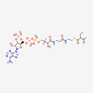 molecular formula C27H44N7O18P3S B13848371 Coenzyme A S-(2-Ethyl-3-oxobutanoate) 