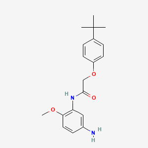 molecular formula C19H24N2O3 B1385022 N-(5-amino-2-methoxyphenyl)-2-(4-tert-butylphenoxy)acetamide CAS No. 1020055-55-3
