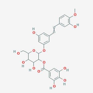 molecular formula C28H28O13 B13850545 b-D-Glucopyranoside,3-hydroxy-5-[2-(3-hydroxy-4-methoxyphenyl)ethenyl]phenyl,2-(3,4,5-trihydroxybenzoate), (E)- 