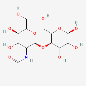 molecular formula C14H25NO11 B13850688 N-[(2S,5R)-4,5-dihydroxy-6-(hydroxymethyl)-2-[(3R,6R)-4,5,6-trihydroxy-2-(hydroxymethyl)oxan-3-yl]oxyoxan-3-yl]acetamide 