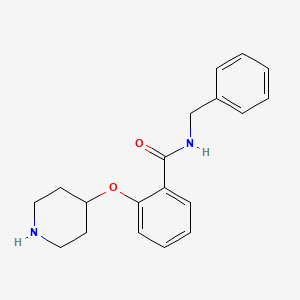 molecular formula C19H22N2O2 B13851104 N-benzyl-2-piperidin-4-yloxybenzamide 