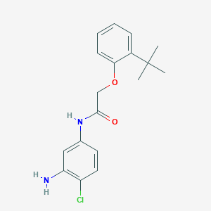 N-(3-Amino-4-chlorophenyl)-2-[2-(tert-butyl)-phenoxy]acetamide