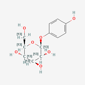 molecular formula C12H16O7 B13851336 Arbutin-13C6 