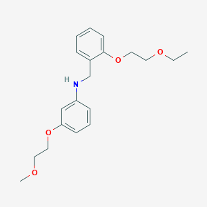 molecular formula C20H27NO4 B1385203 N-[2-(2-Ethoxyethoxy)benzyl]-3-(2-methoxyethoxy)aniline CAS No. 1040686-67-6
