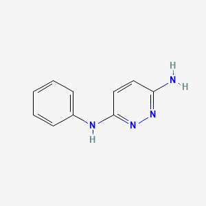 molecular formula C10H10N4 B13852119 3-N-phenylpyridazine-3,6-diamine 