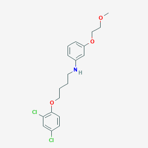 molecular formula C19H23Cl2NO3 B1385228 N-[4-(2,4-Dichlorophenoxy)butyl]-3-(2-methoxyethoxy)aniline CAS No. 1040686-27-8