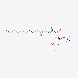 molecular formula C21H37NO4 B13853337 Tetradeca-2,4-dien-oyl Carnitine 