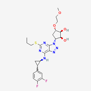 molecular formula C24H30F2N6O4S B13853408 O-Methyl Ticagrelor 