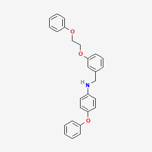 molecular formula C27H25NO3 B1385345 4-Phenoxy-N-[3-(2-phenoxyethoxy)benzyl]aniline CAS No. 1040687-81-7