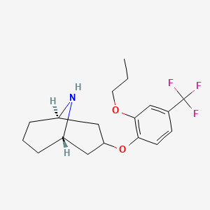 molecular formula C18H24F3NO2 B13853923 Acynonapyr metabolite C 