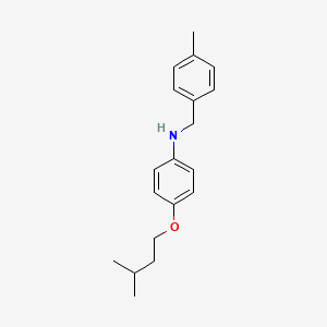 molecular formula C19H25NO B1385434 4-(Isopentyloxy)-N-(4-methylbenzyl)aniline CAS No. 1040688-92-3