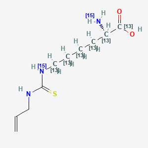 molecular formula C10H19N3O2S B13854859 N6-[(Allylamino]carbonothioyl]lysine-13C6,15N2 