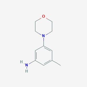 molecular formula C11H16N2O B13855009 3-Methyl-5-morpholin-4-ylaniline 